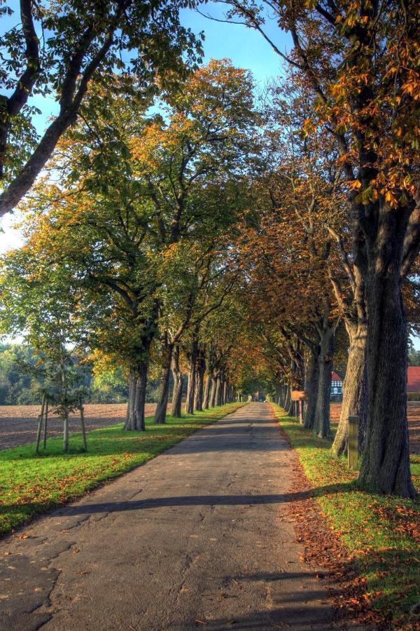 Schlosspark Hollwinkel Preußisch Oldendorf Dış mekan fotoğraf